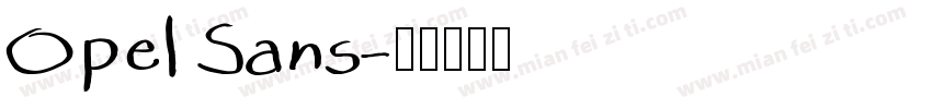 Opel Sans字体转换